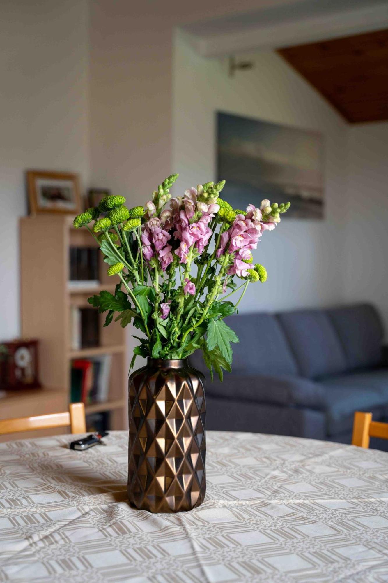 Lidija Apartment