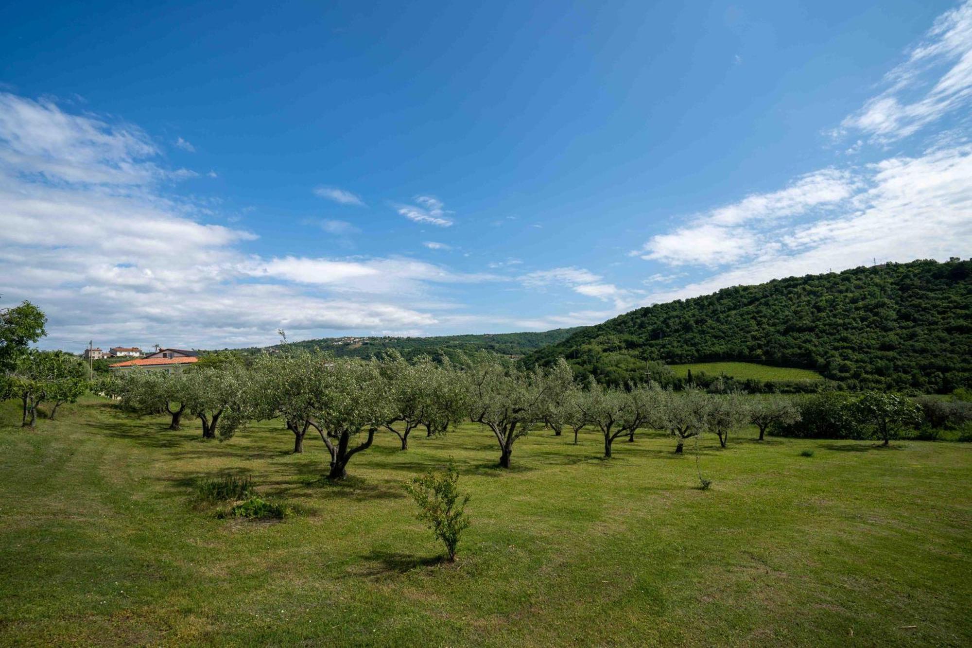 Apartment Lidija *
