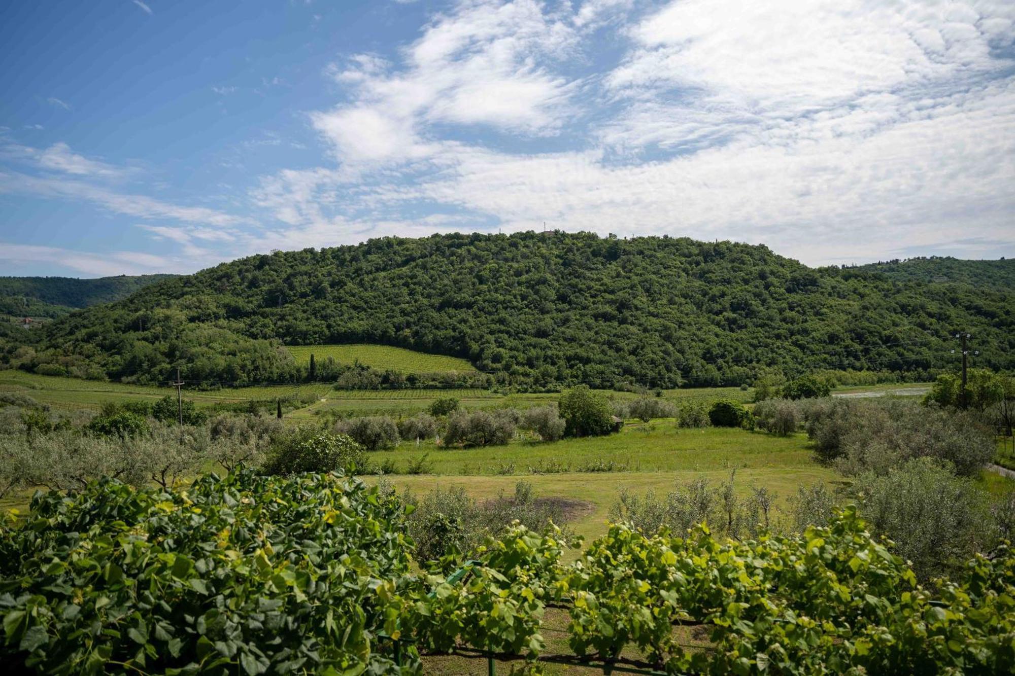 Lidija